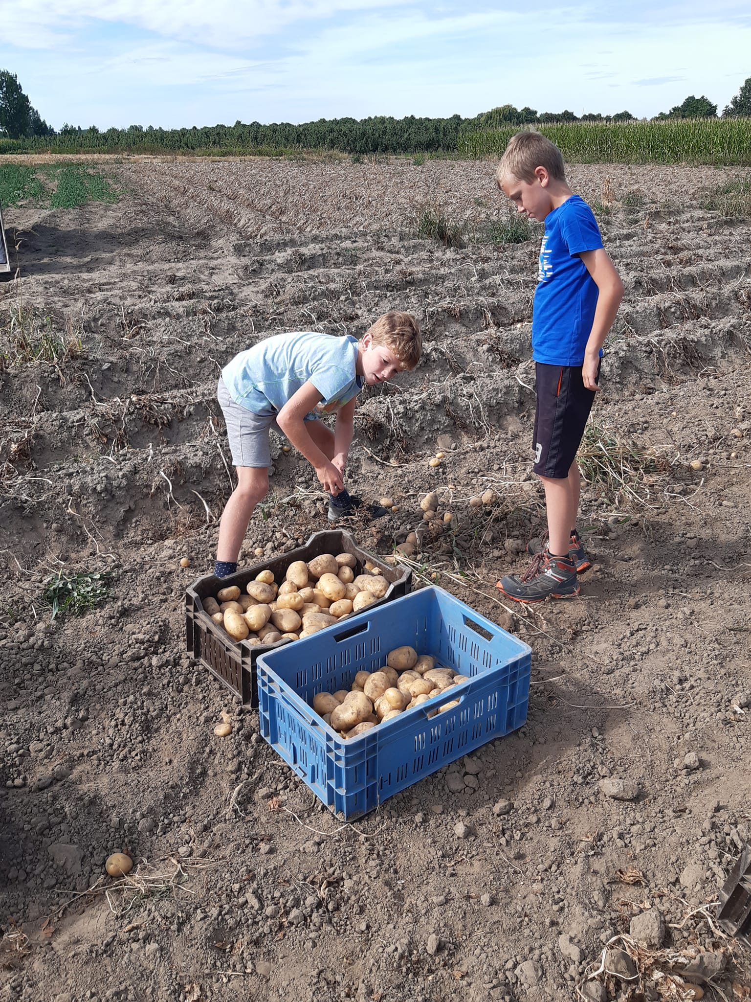 De Roos - Plattelandsklassen vzw