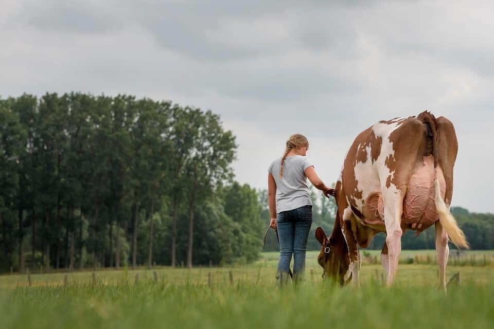 Den Ighemkouter - Plattelandsklassen vzw