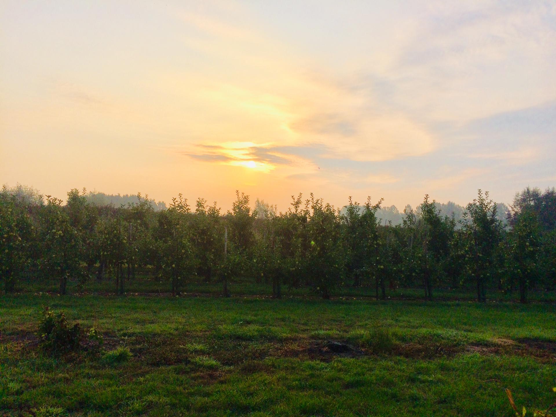 Verhofstede Fruitsappen - Plattelandsklassen vzw