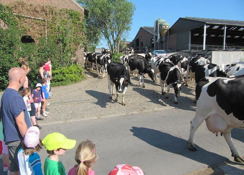 Lemaire - Plattelandsklassen vzw