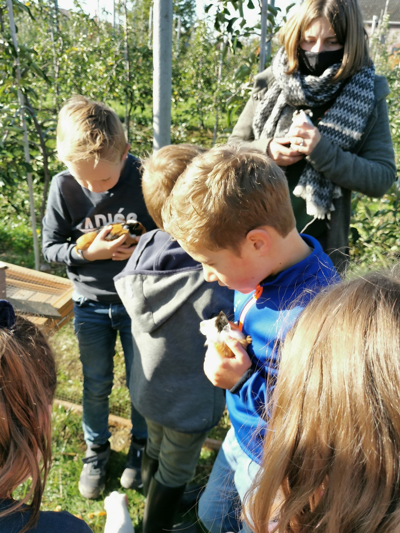 Mierenhoop - Plattelandsklassen vzw