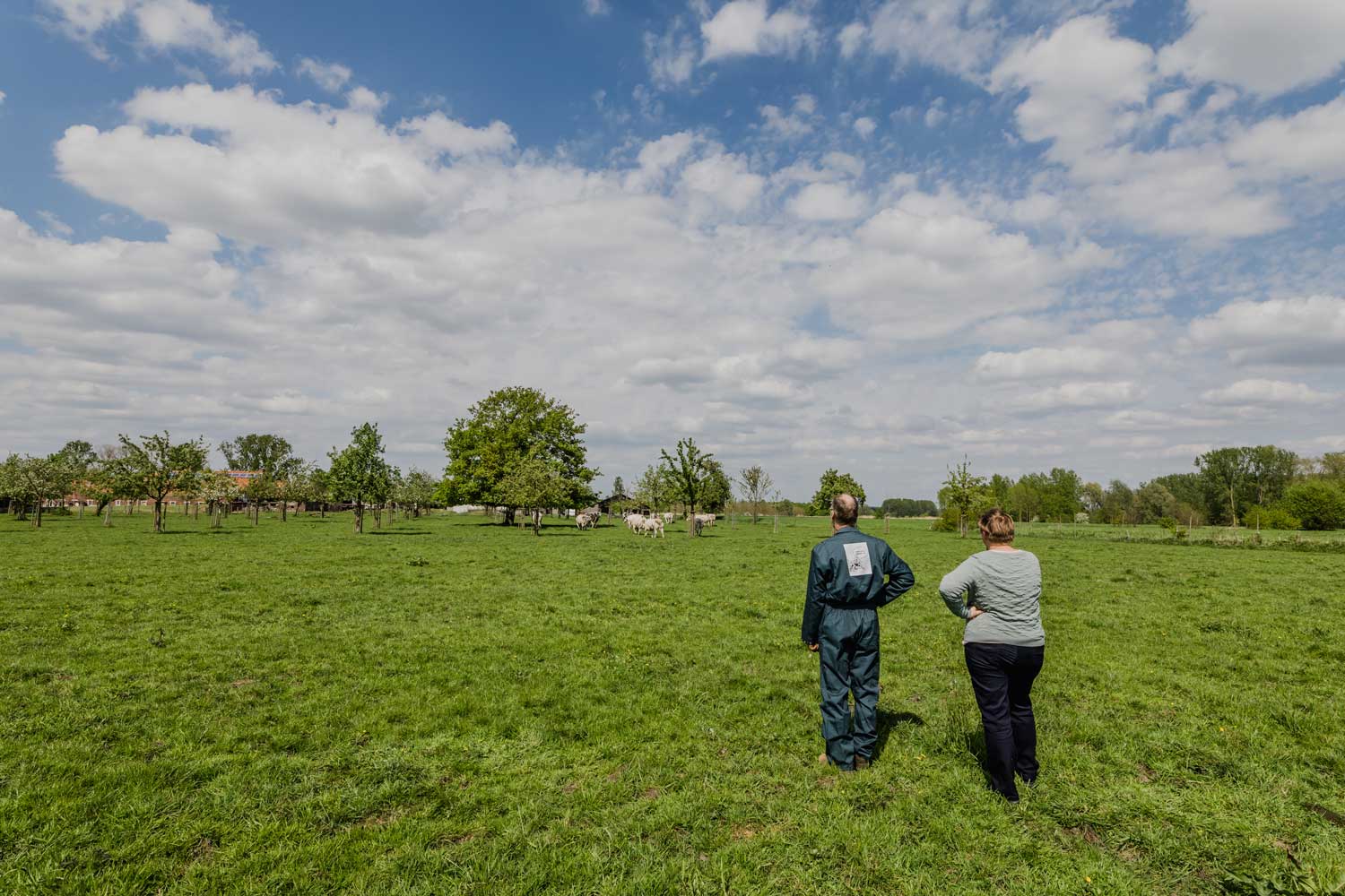 hoeve-de-waterkant - Plattelandsklassen vzw