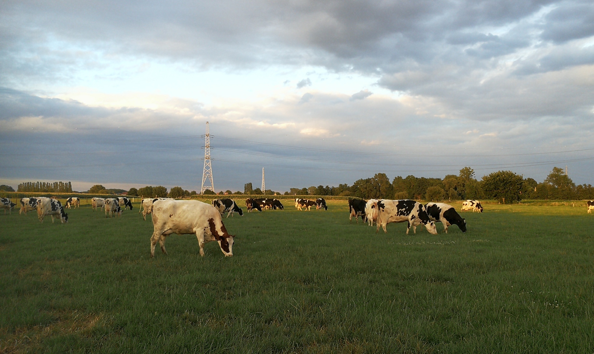 Steenberg - Plattelandsklassen vzw