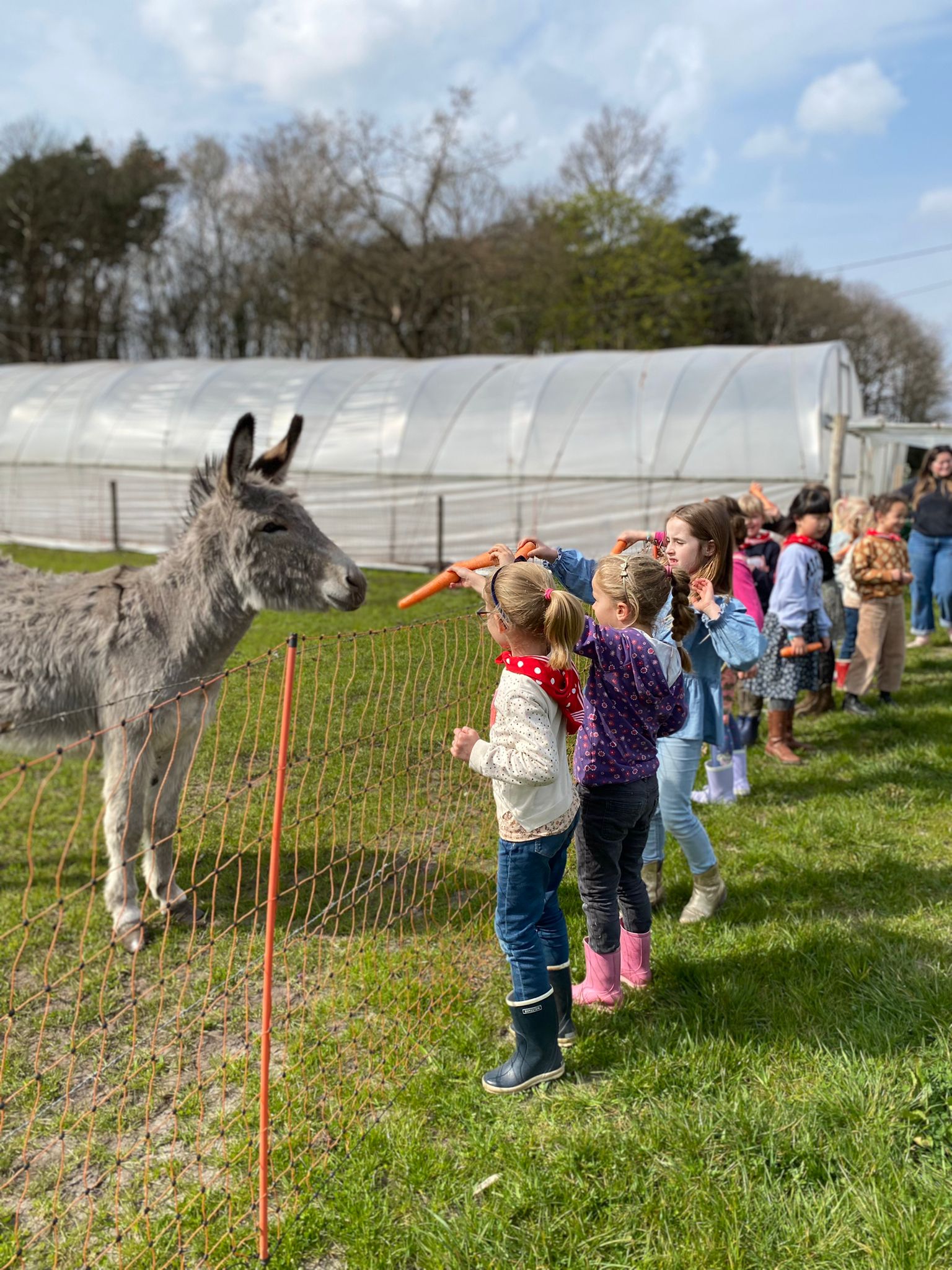 Voederen van onze dieren - Plattelandsklassen vzw