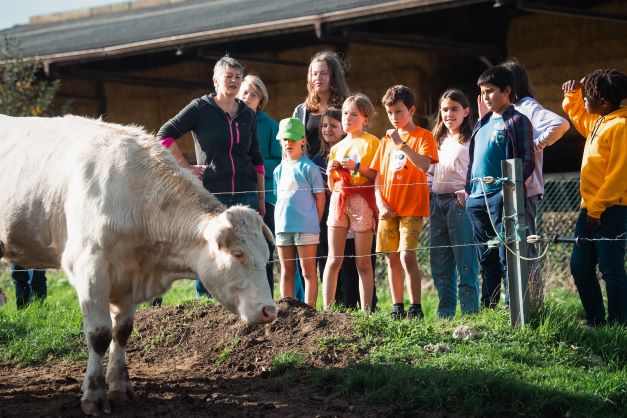 Blijven slapen - Plattelandsklassen vzw