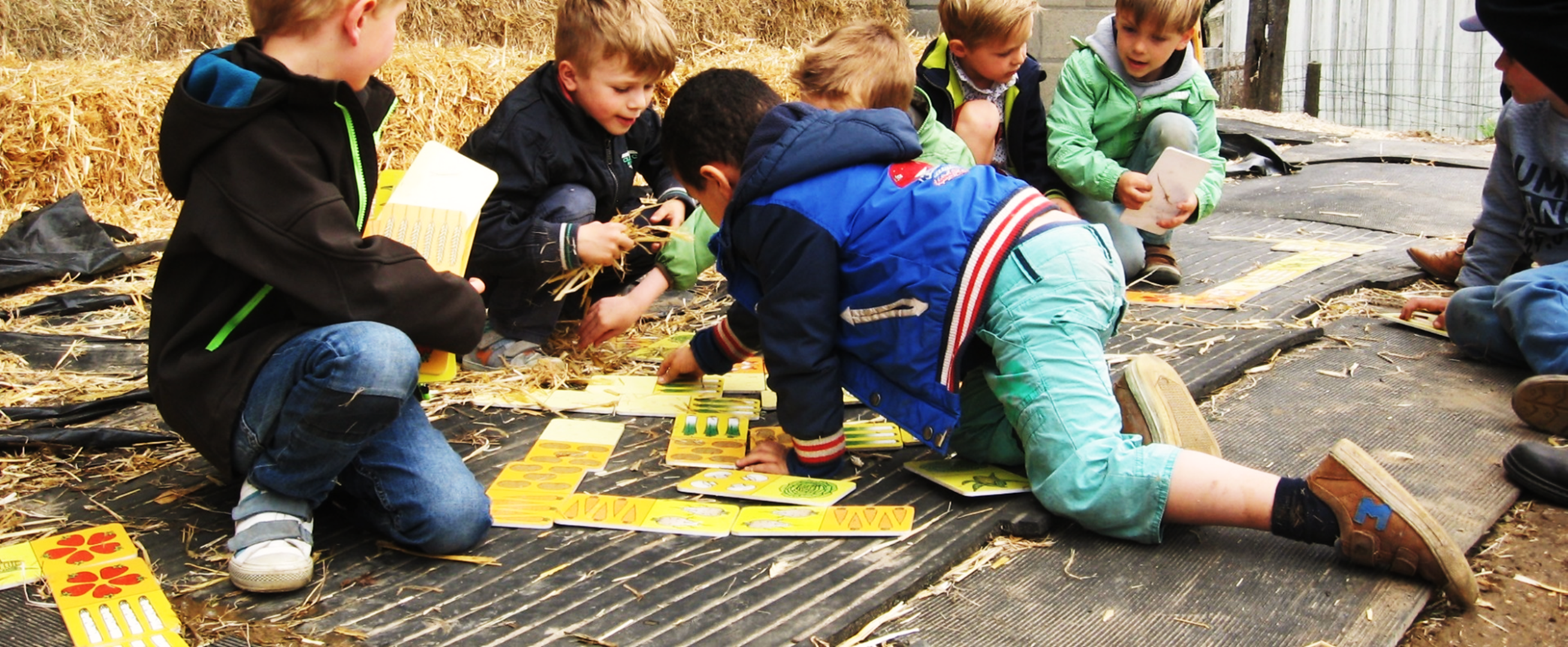 Landbouweducatie Boerenbond