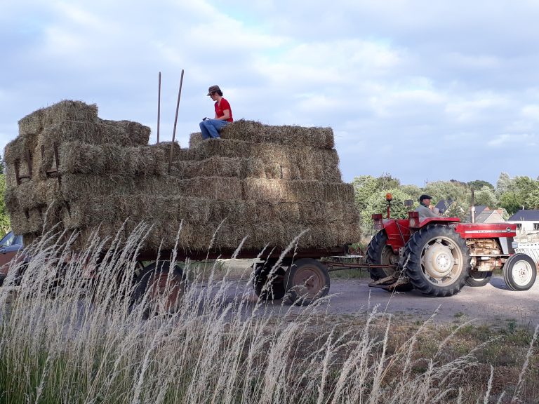 Landbouweducatie Boerenbond