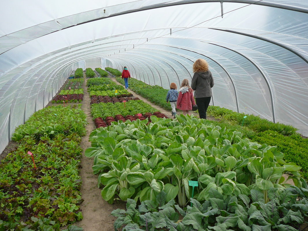 Landbouweducatie Boerenbond