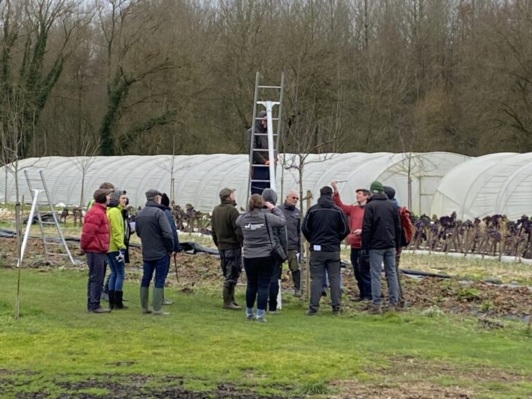 Landbouweducatie Boerenbond