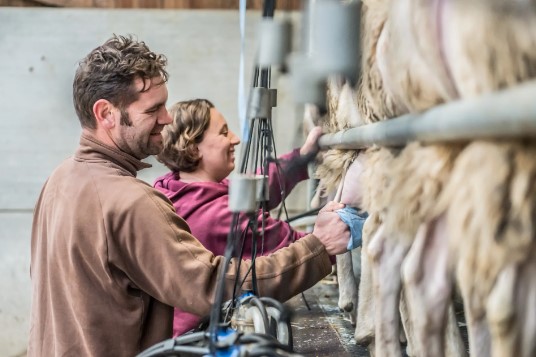 Landbouweducatie Boerenbond