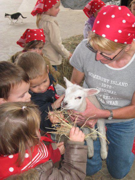 Boerderij-Terpaddepoele