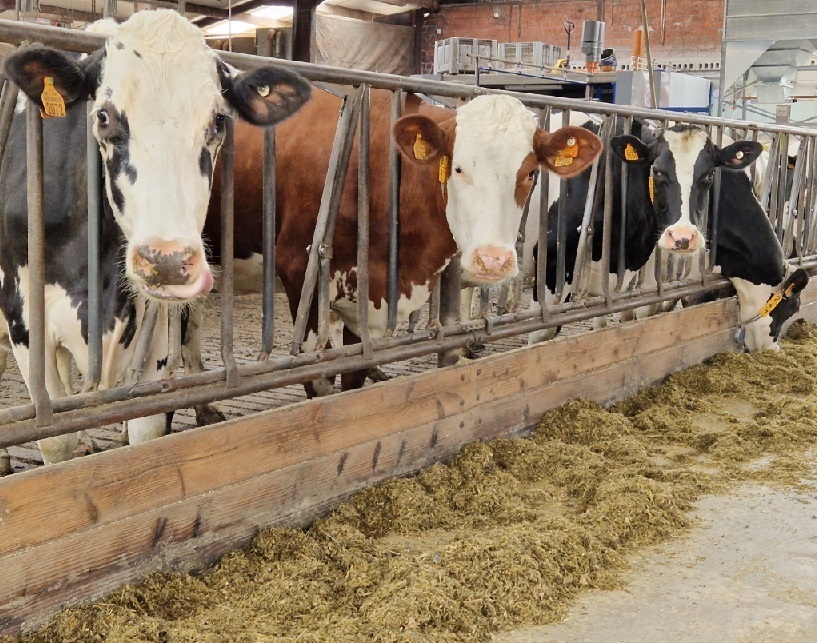 Landbouweducatie Boerenbond