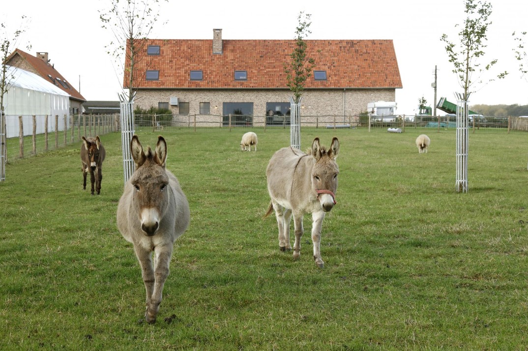 Landbouweducatie Boerenbond