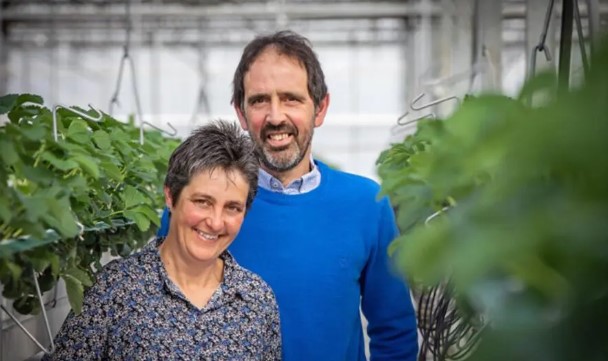 Landbouweducatie Boerenbond