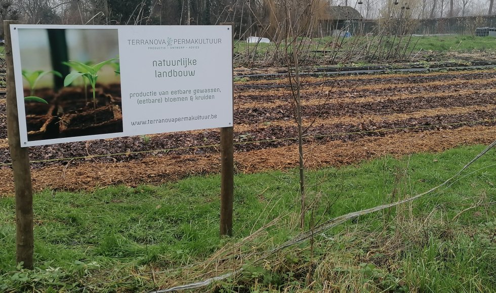 Landbouweducatie Boerenbond