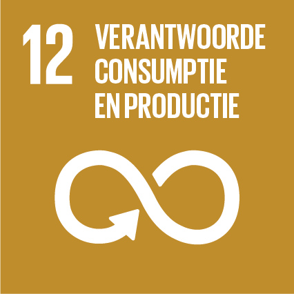 SDG12 Verantwoorde consumptie en productie