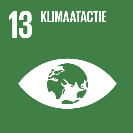 SDG13 Klimaatactie